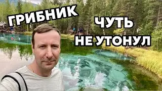 Грибы и Алтай! Самое ЭКСТРЕМАЛЬНОЕ путешествие грибника! Еле выжил!!! Смотреть до конца! Грибы 2024