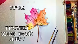 Рисуем кленовый лист. Урок рисования