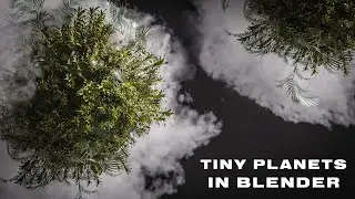 Step-By-Step - Tiny Ecosystems in Blender