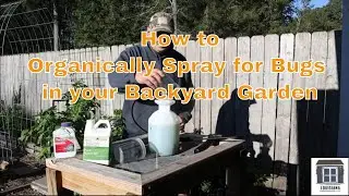 How to Organically Spray for Bugs in your Backyard Raised Bed Garden (Zone 9A)