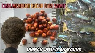 Cara membuat kucur dari sawit  untuk ikan baung