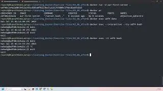 Interacting with Containers - Exec Command (HINDI)