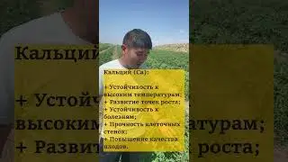 Важно!!!  Обязательно даём кальций и магний!