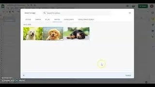 How to insert image in Google Sheets
