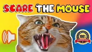 Cat sounds to scare mice away ⭐ Just play & mouse will go away ❗️ Cat sounds to scare rats