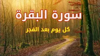 سورة البقرة - ساعتين من الراحة النفسية |   |  قران كريم