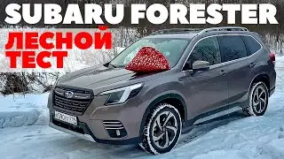 Subaru Forester 2024: по глубокому снегу точно вовремя