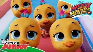 ✈️ Field Trip | T.O.T.S | Disney Junior Arabia