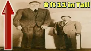 The Tallest Person in History | Robert Wadlow