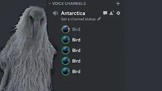 The Opium Bird Discord Meme