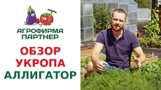 ОБЗОР УКРОПА АЛЛИГАТОР