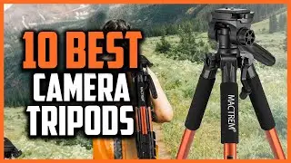 Top 10 Best Camera Tripods in 2023 Reviews