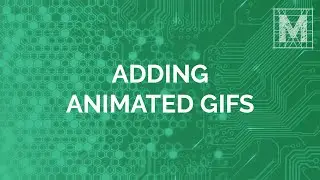 Adding Animated GIFs in MobileSmith