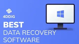 【2022】Top 5 Best Data Recovery Software for Windows 10/11 |  Support to Recover USB, SD Card, etc.