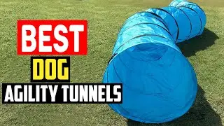 ✅Top 5 Best Dog Agility Tunnels in 2024