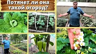 Обзор огорода. Потянет ли она такой огород?