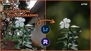 Blur Image Background | Mobile Photo Editing Tutorial | Lightroom Color Grading | PhotoRoom Edit