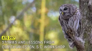 Approaching The Scene 297: Stories and Lessons from our Charleston, S.C. Workshop