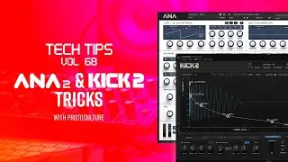 Side Chained Reverb in ANA 2