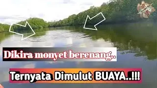Kaget,..!!! Mancing Ketemu buaya dan burung raksasa..