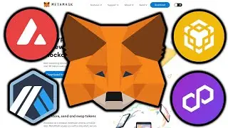 How to add any blockchain network to Metamask