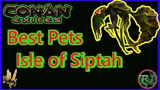 Best Pet CONAN EXILES  ISLE of Siptah  Ep.2