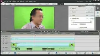 How to Blur a Face in Premiere Elements and More