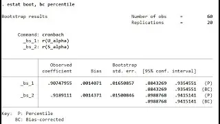 Cronbach's alpha and writing a program for bootstrap confidence interval in Stata (Jan 2023)