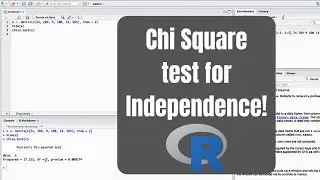 How to perform a Chi-Square test for Independence in R