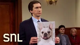 Court Case - SNL