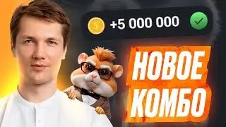 Комбо Дня - 30 Июня - HAMSTER KOMBAT