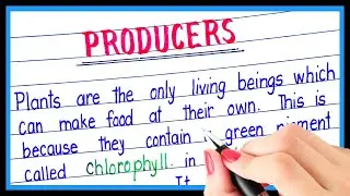 Definition of producers in english | what is producers | Types of producers