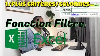 Comment Utiliser la Fonction de Filtre Excel avec plusieurs critères dans Une ou Plusieurs Colonnes