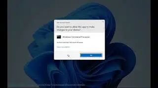 Fix KernelBase.dll crash issue on Windows