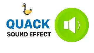 Quack Sound Effect, Duck Quack Sound Effect Free, Quack SFX