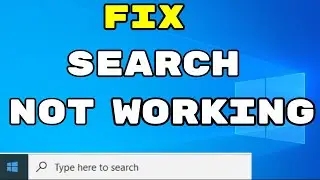 Search Bar Not Working In Windows 11 [ Fixed ]