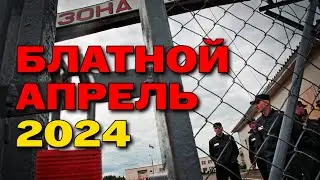 Блатной апрель 2024 - Бодрые хиты шансона 
