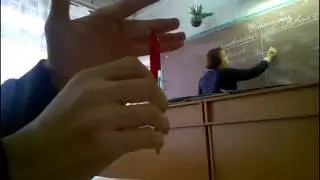 ГДЕ-ТО НА БИОЛОГИИ