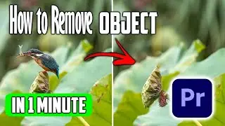 How to Remove Object in Premiere Pro   Remove Person from Video