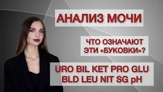 Как расшифровать общий анализ мочи?