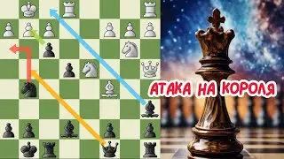 Изящная атака на Короля.  Стейниц - Цукерторт. Шахматы