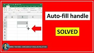 How to Fix Auto fill not working in Excel | Autofill in Excel is not showing