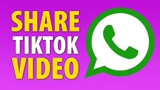 How To Share Tik Tok Video On WhatsApp