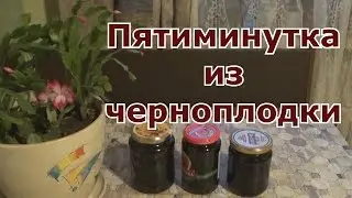 Варенье Пятиминутка из черноплодной рябины.