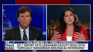 Tulsi Gabbard Calls For The Closing Of Secret American Bioweapon Labs in the Ukraine