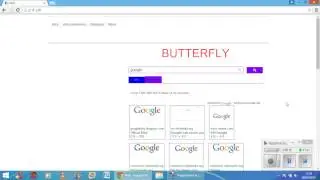 Butterfly