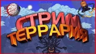 Terraria Стримчик з Єнотиком