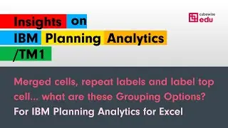 Merged cells, repeat labels and label top cell. What are these Grouping Options?!