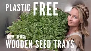 How to use wooden seed trays for plastic-free seed starting!