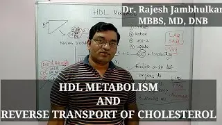 12. HDL Metabolism and Reverse Transport of Cholesterol